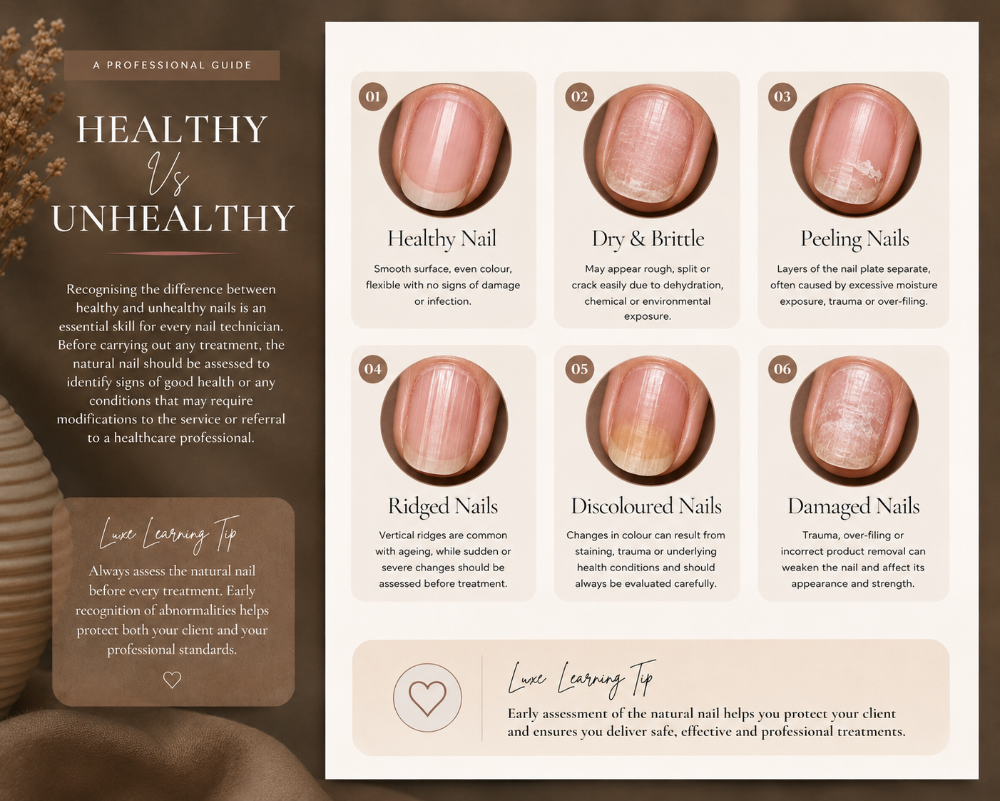 Builder Gel Training Manual | Professional Nail Technician Guide | Builder Gel Application & Techniques | Digital PDF
